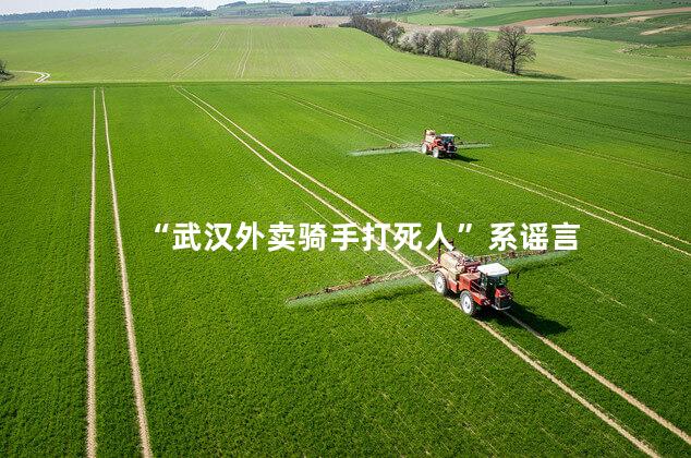 “武汉外卖骑手打死人”系谣言