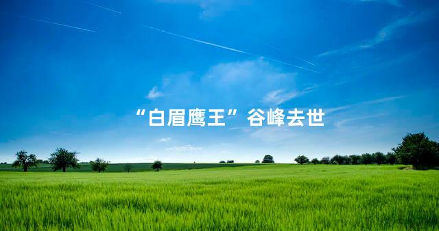 “白眉鹰王”谷峰去世