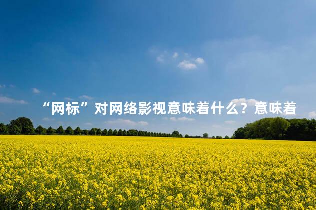 “网标”对网络影视意味着什么？意味着将更加规范和进一步完善