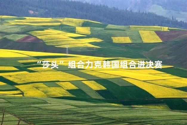 “莎头”组合力克韩国组合进决赛