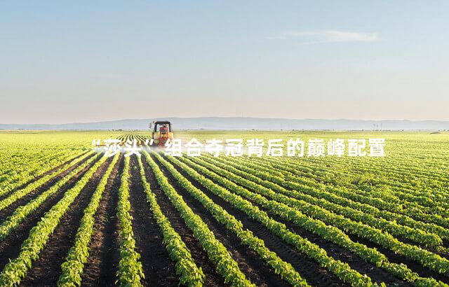 “莎头”组合夺冠背后的巅峰配置