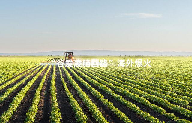 “谷爱凌脑回路”海外爆火