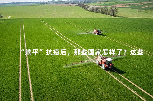 “躺平”抗疫后，那些国家怎样了？这些国家的疫情形势现在如何