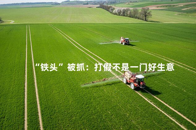“铁头”被抓：打假不是一门好生意