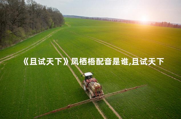 《且试天下》凤栖梧配音是谁,且试天下凤栖梧喜欢谁