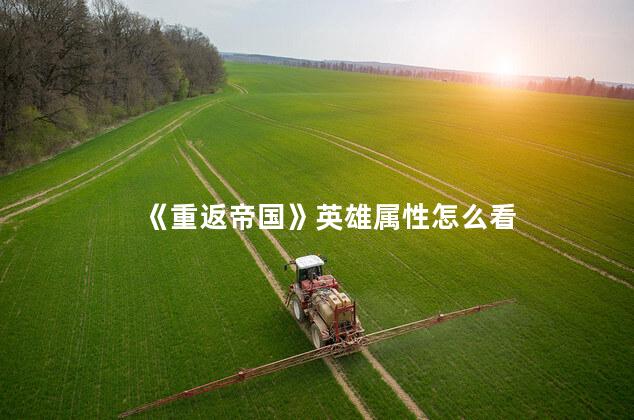 《重返帝国》英雄属性怎么看