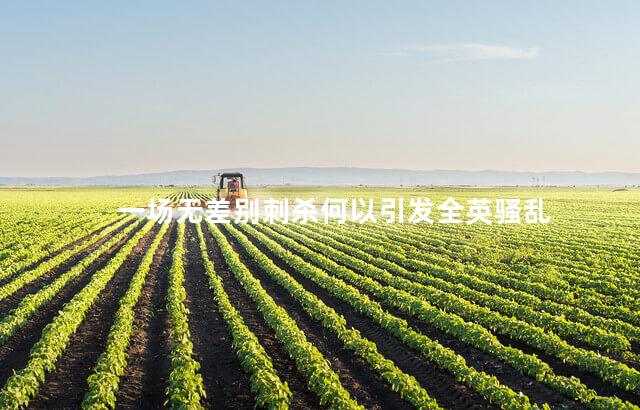 一场无差别刺杀何以引发全英骚乱