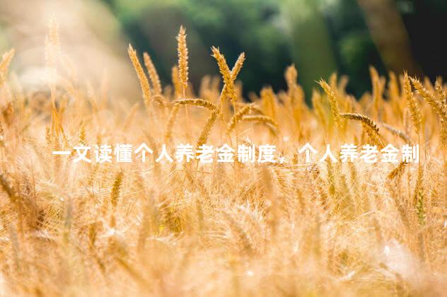 一文读懂个人养老金制度，个人养老金制度解析