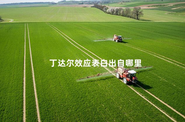 丁达尔效应表白出自哪里