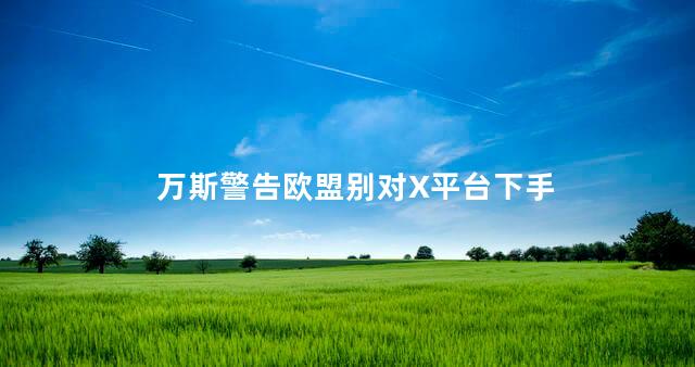 万斯警告欧盟别对X平台下手