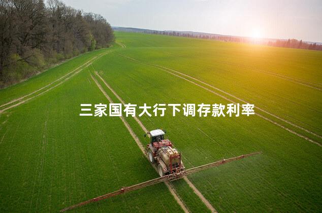 三家国有大行下调存款利率