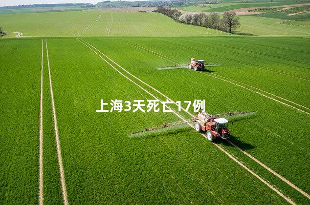 上海3天死亡17例