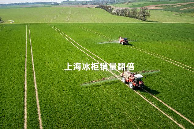 上海冰柜销量翻倍