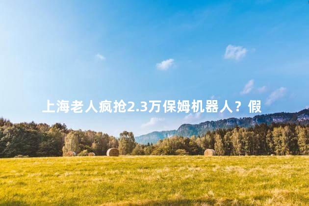 上海老人疯抢2.3万保姆机器人？假