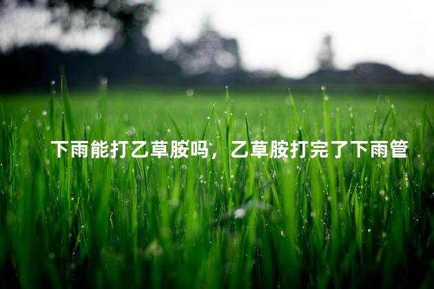 下雨能打乙草胺吗，乙草胺打完了下雨管用吗