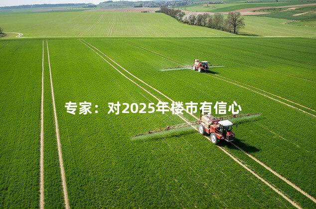 专家：对2025年楼市有信心