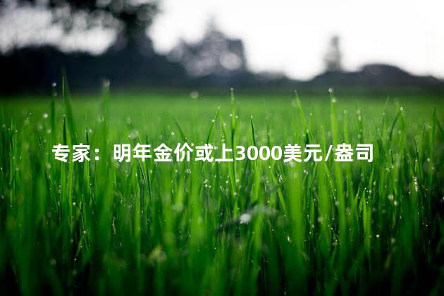 专家：明年金价或上3000美元/盎司