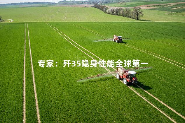 专家：歼35隐身性能全球第一