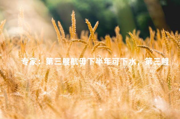 专家：第三艘航母下半年可下水，第三艘航母即将下水