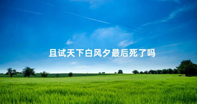 且试天下白风夕最后死了吗