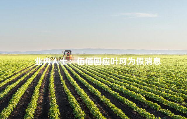 业内人士：伍佰回应叶珂为假消息