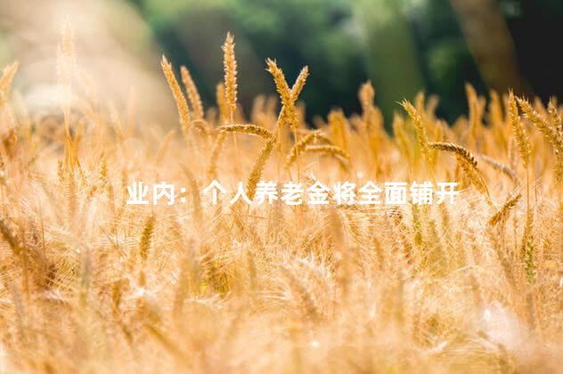 业内：个人养老金将全面铺开