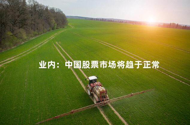 业内：中国股票市场将趋于正常