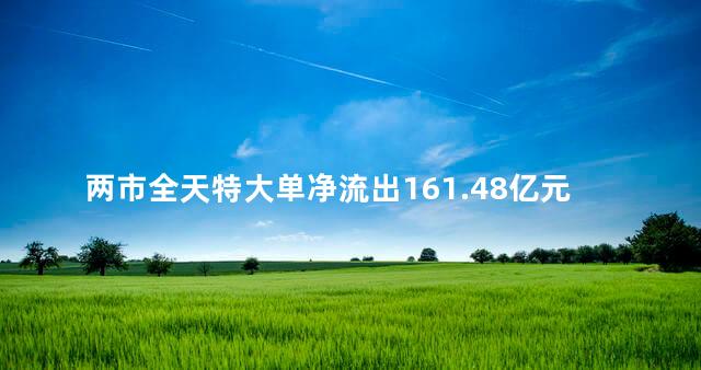 两市全天特大单净流出161.48亿元