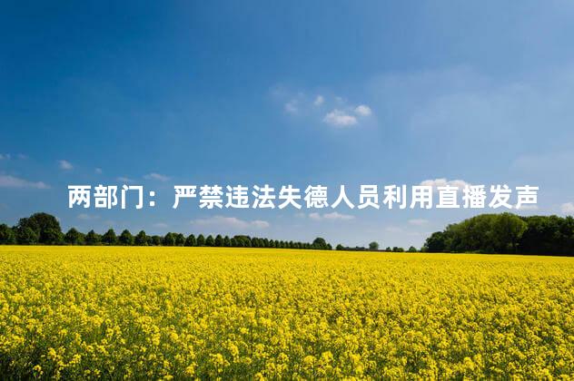 两部门：严禁违法失德人员利用直播发声出镜