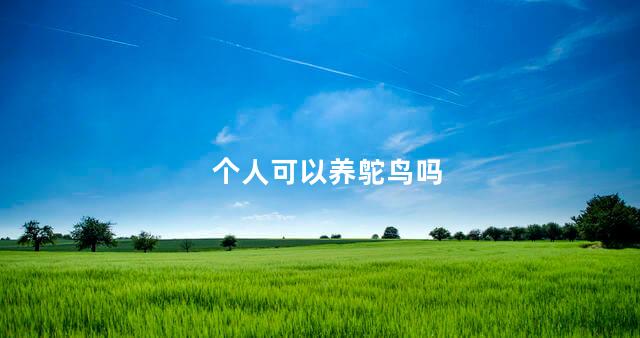 个人可以养鸵鸟吗