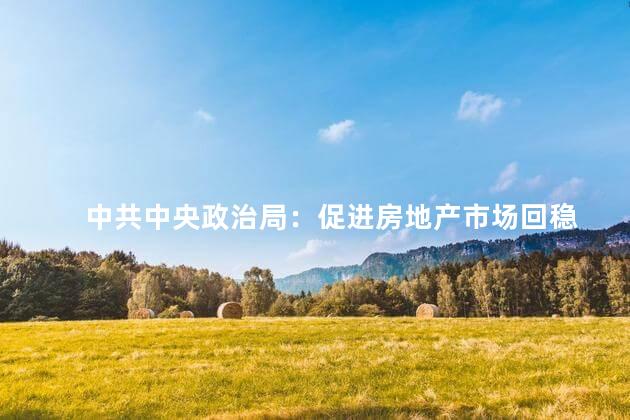 中共中央政治局：促进房地产市场回稳