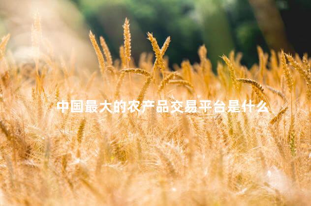 中国最大的农产品交易平台是什么