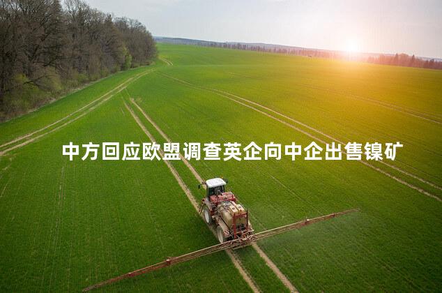 中方回应欧盟调查英企向中企出售镍矿