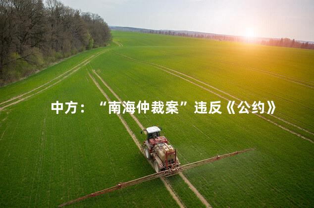 中方：“南海仲裁案”违反《公约》