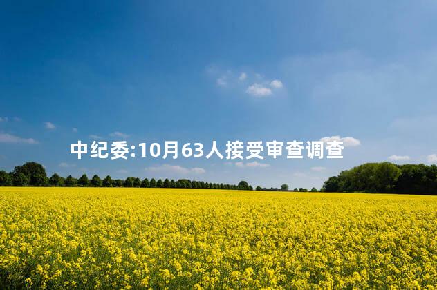 中纪委:10月63人接受审查调查