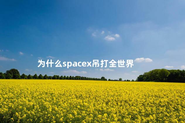为什么spacex吊打全世界