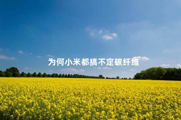 为何小米都搞不定碳纤维