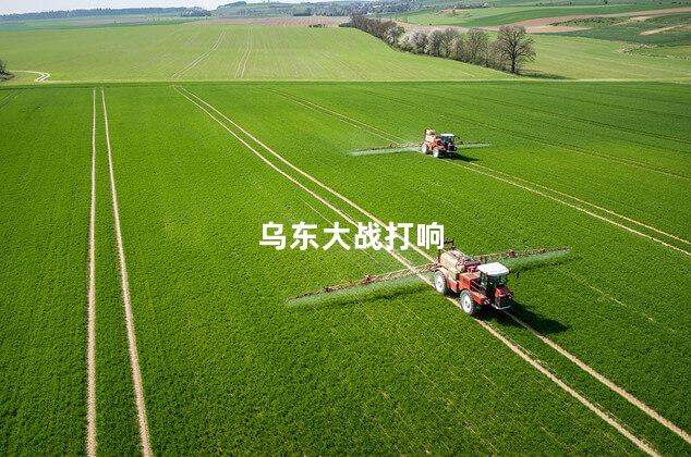 乌东大战打响
