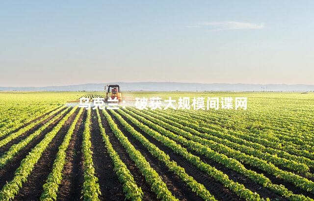 乌克兰：破获大规模间谍网