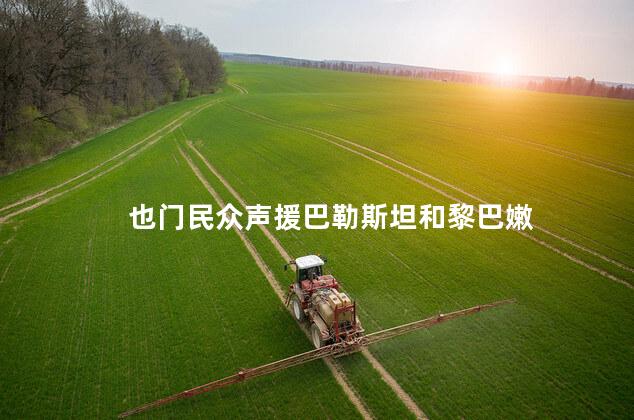 也门民众声援巴勒斯坦和黎巴嫩