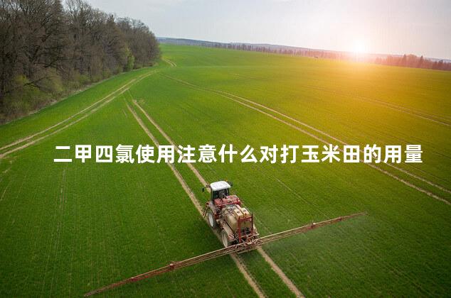 二甲四氯使用注意什么对打玉米田的用量,二甲四氯使用注意什么气温要求
