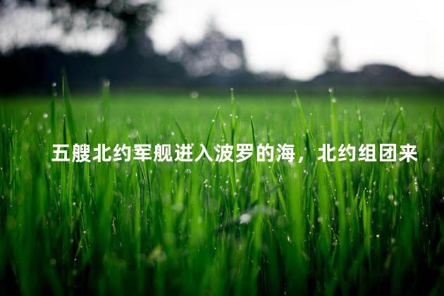 五艘北约军舰进入波罗的海，北约组团来叫板了