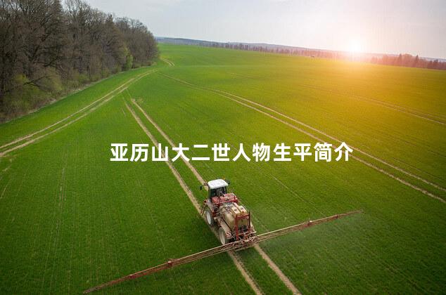 亚历山大二世人物生平简介
