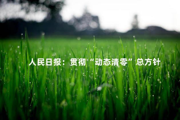 人民日报：贯彻“动态清零”总方针