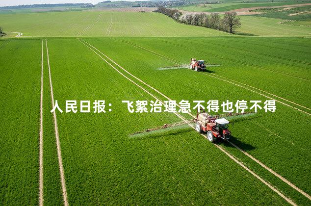 人民日报：飞絮治理急不得也停不得