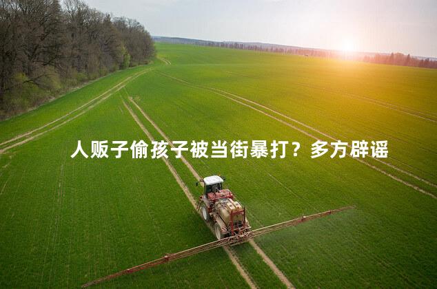 人贩子偷孩子被当街暴打？多方辟谣