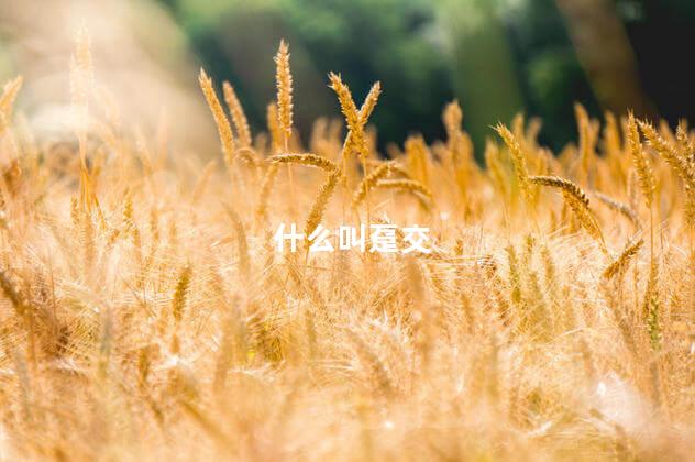 什么叫趸交