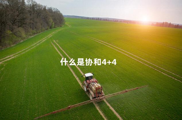 什么是协和4+4