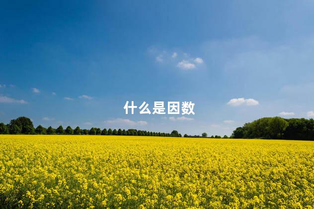 什么是因数