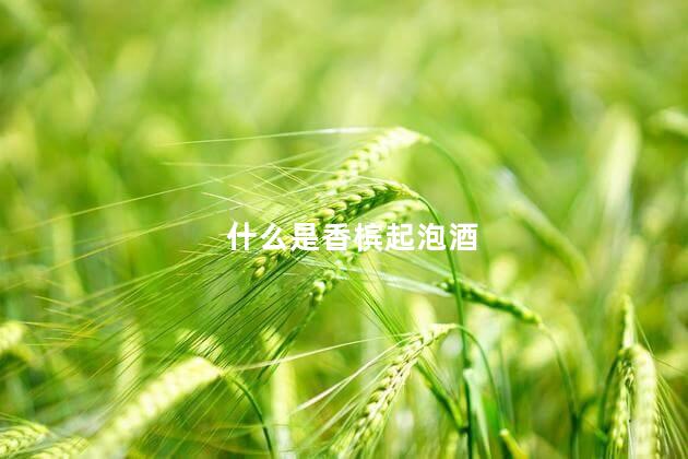 什么是香槟起泡酒